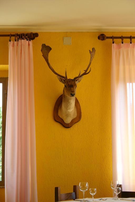 Terre D'Orcia Otel Seggiano Dış mekan fotoğraf